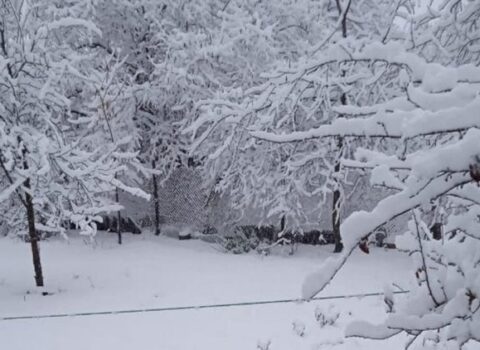 Şahdağa bir metr qar yağdı – FAKTİKİ HAVA