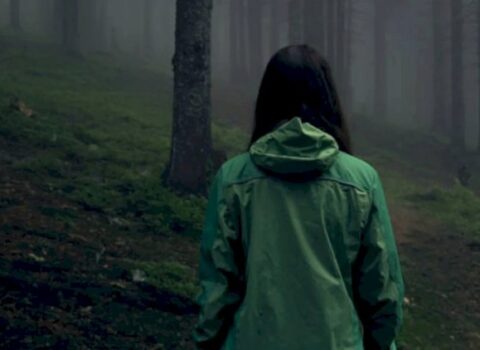 İsmayıllıda 31 yaşlı qadın itkin düşdü – FOTO