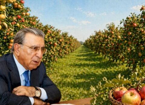 Ramanada Ramiz Mehdiyevin 32 hektar bağı əlindən alındı