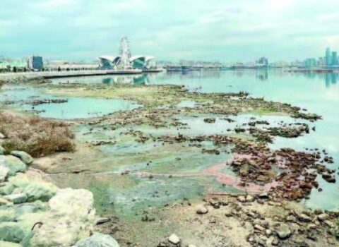 Xəzərdə suyun səviyyəsi 2050-ci ilə qədər 21 metrə düşə bilər – TƏHLÜKƏ