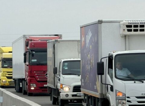 Azərbaycandan bu ölkəyə tonlarla qurbağa ayağı göndərilib