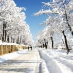 Bu gün bu ərazilərə qar yağacaq