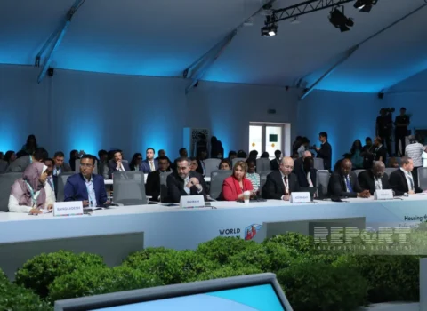 Dövlət Komitəsinin sədri: “İşğaldan azad edilmiş ərazilərin yarıdan çoxu “yaşıl zona” olacaq”