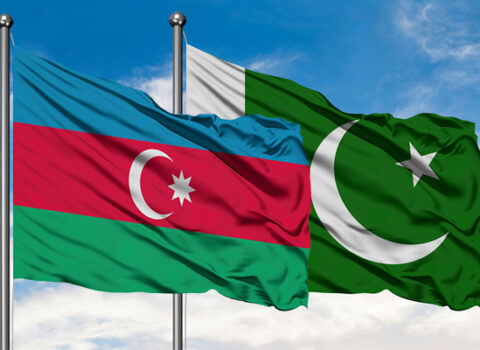 Paşinyan HİDDƏTLƏNİB: Tonoyan Azərbaycan və Pakistanla bağlı elə şeylər dedi ki…