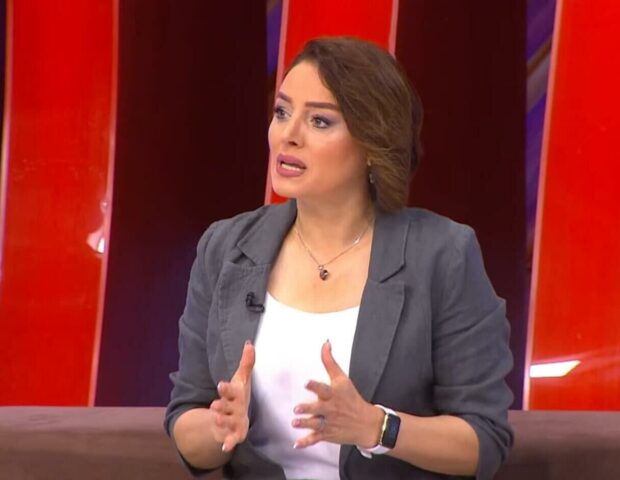 Mübahisə yaradan çıxışların anatomiyası – Səidə Bəkirqızı, belə olmaz axı!