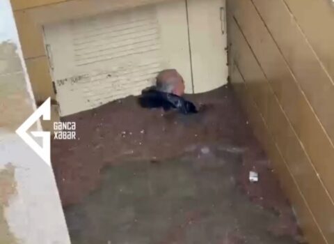 Gəncə Dram Teatrından su basma ilə bağlı AÇIQLAMA