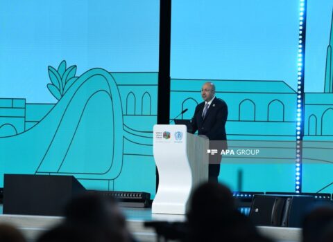 Anar Quliyev: Azərbaycan Ümumdünya Ətraf Mühit Gününə hazırlaşır