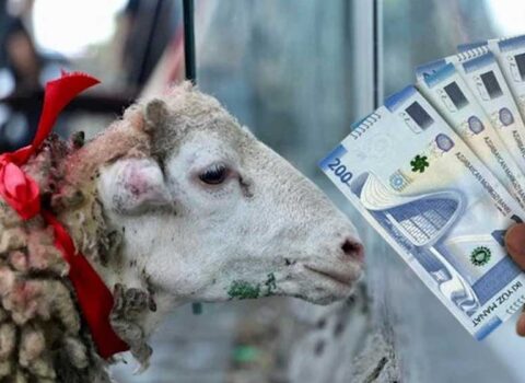 DİQQƏT: Qurban bayramına görə bu işçilərə əlavə pul veriləcək?