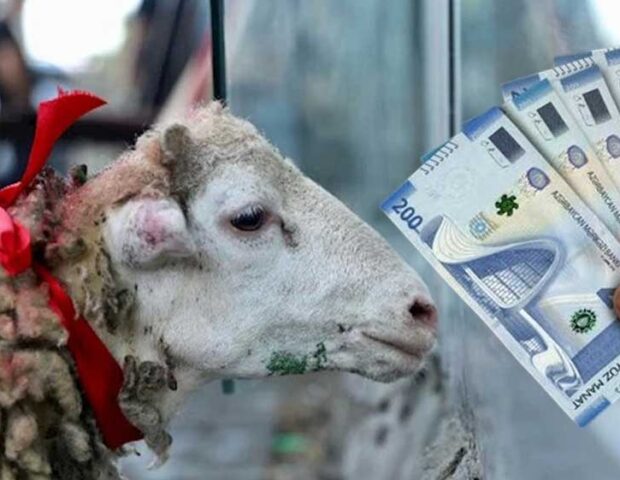 DİQQƏT: Qurban bayramına görə bu işçilərə əlavə pul veriləcək?