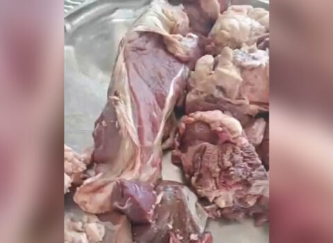 İcranın göndərdiyi qurban əti qurdlu olub? – VİDEO+Açıqlama
