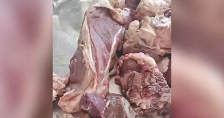 İcranın göndərdiyi qurban əti qurdlu olub? – VİDEO+Açıqlama