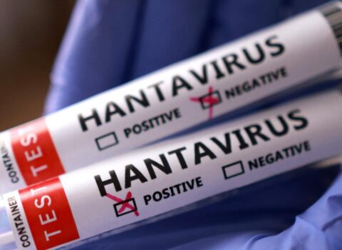Hantavirus ürəyi vurur: Bu şəxslər daha tez yoluxa bilər