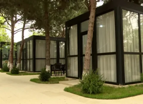 Ağaclar kəsildi, yerində ÇAYXANA TİKİLDİ