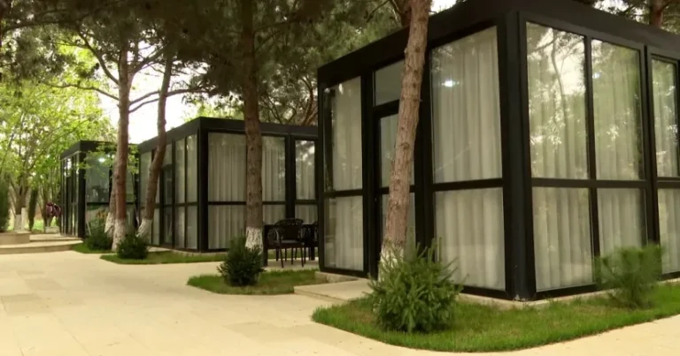 Ağaclar kəsildi, yerində ÇAYXANA TİKİLDİ