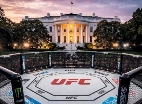 UFC turnirinin mükafat fondu açıqlandı