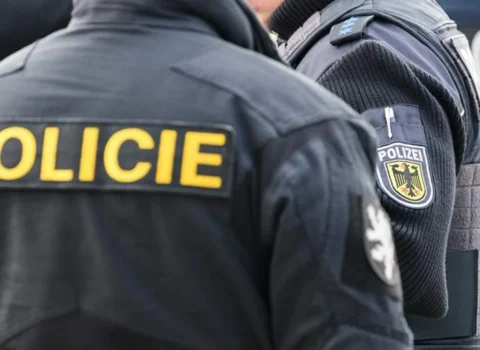 Çexiyada ana yenidoğulmuş körpəsini itlərə yedirdib