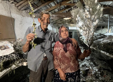 Zirzəmidə gizli sərvət: 71 yaşlı kişi cəmi 40 günə 216 min qazandı