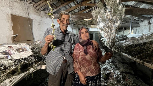 Zirzəmidə gizli sərvət: 71 yaşlı kişi cəmi 40 günə 216 min qazandı