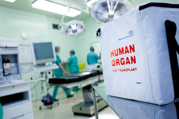 Azərbaycanda orqan alveri ilə bağlı ŞOK faktlar