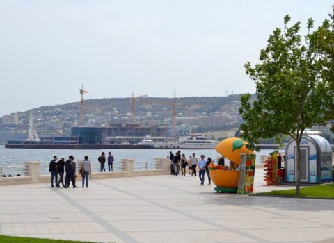 Bakıda da peyda olmağa başlayır — Qarşınıza çıxsa, dərhal uzaqlaşın!