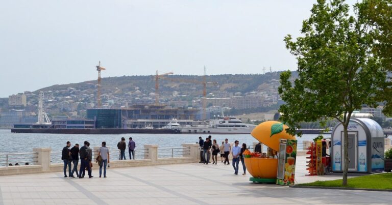 Bakıda da peyda olmağa başlayır — Qarşınıza çıxsa, dərhal uzaqlaşın! Bakıda da peyda olmağa başlayır — Qarşınıza çıxsa, dərhal uzaqlaşın!