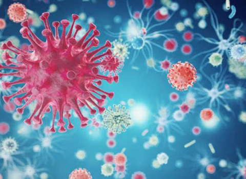 Eboladan ölənlərin sayı artdı