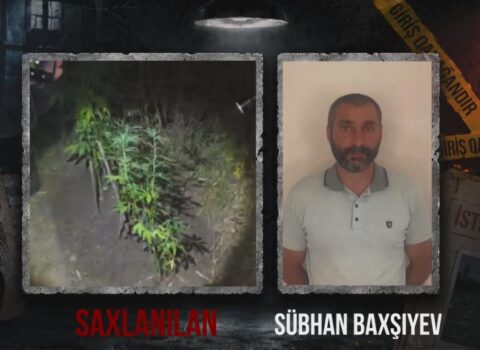 Ağsuda dağlıq ərazidə çətənə kolu əkən şəxs saxlanıldı