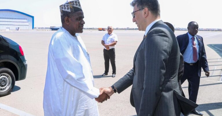 Niger Məsləhət Şurasının sədri Azərbaycana səfərə gəlib