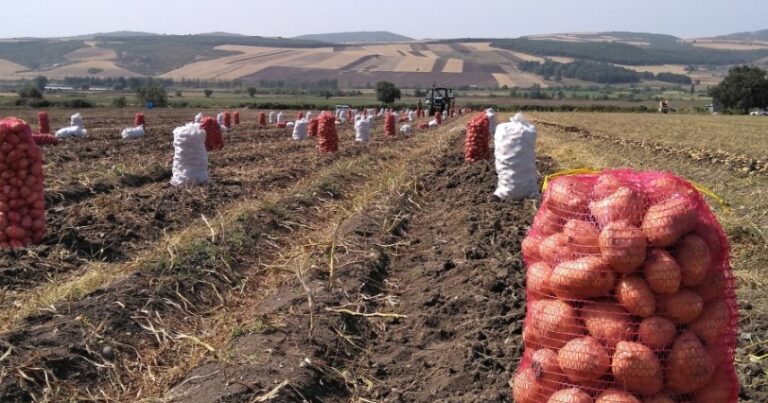 Rayonda 1, Bakıda 5 manata: Qiymət fərqinin sirri açıldı
