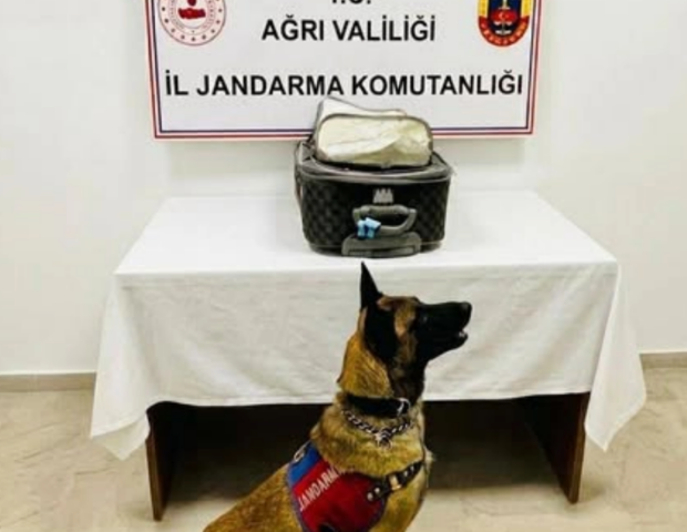 Türkiyədə Azərbaycan vətəndaşından külli miqdarda narkotik götürüldü