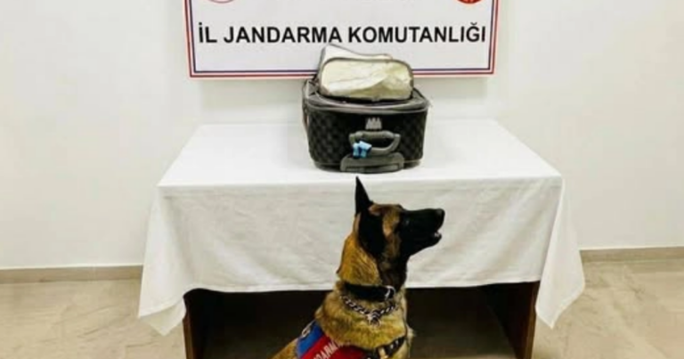 Türkiyədə Azərbaycan vətəndaşından külli miqdarda narkotik götürüldü Türkiyədə Azərbaycan vətəndaşından külli miqdarda narkotik götürüldü