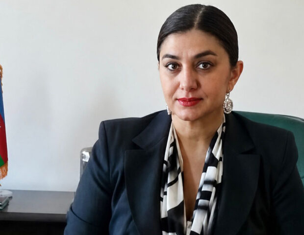 Bakıda sabiq məmur dava saldı, polisə düşdü