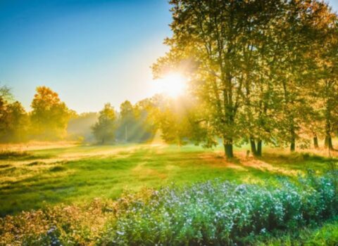 Temperatur yüksəlir – 34- 35 dərəcə isti olacaq