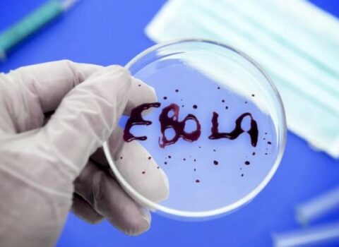 “Ebola virusu sürətlə yayılır” – ÜST