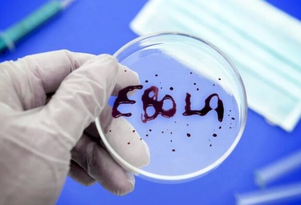 “Ebola virusu sürətlə yayılır” – ÜST