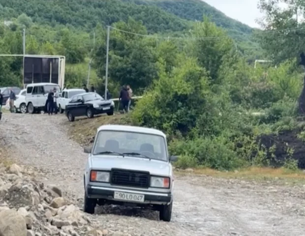 “Ağcaqanad, qurbağa əlindən oturmaq olmur” – Video