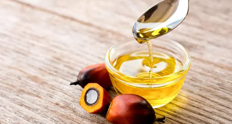 Palma yağı həqiqətən zərərlidir? – Həkimdən AÇIQLAMA Palma yağı həqiqətən zərərlidir? – Həkimdən AÇIQLAMA