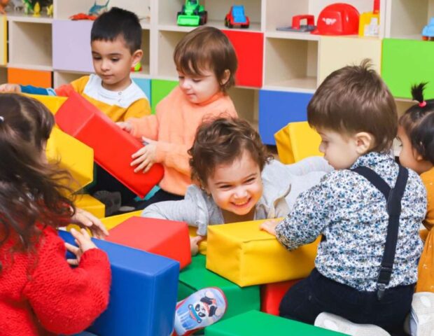 Bağçalarla bağlı qayda TƏSDİQLƏNDİ