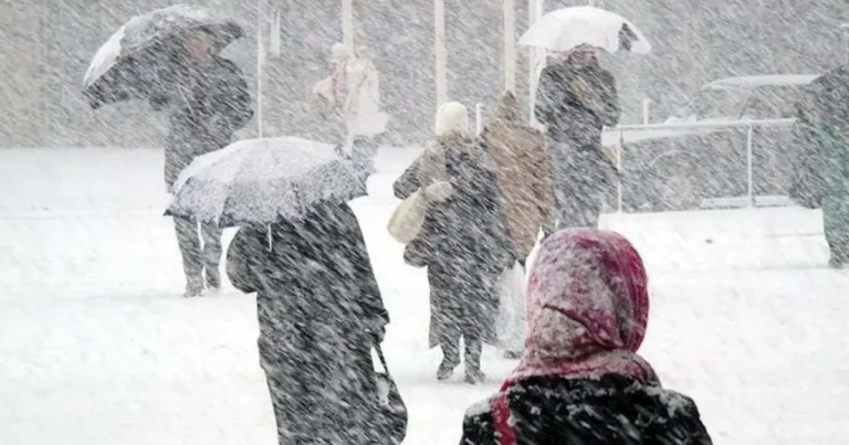 Türkiyədə anormal miqdarda qar yağıb – VİDEO