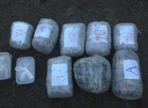 Xəzər rayonunda 45 kiloqram narkotik aşkarlandı