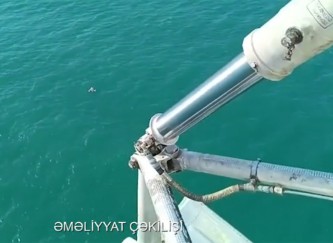 Zeynəbin axtarışlarına helikopter cəlb edildi – Video