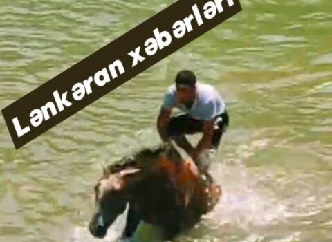 Atları içməli su anbarında çimizdirirlər – FOTO