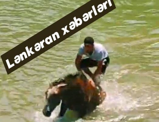 Atları içməli su anbarında çimizdirirlər – FOTO