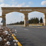 Beyləqanda “pambıqla baş kəsən” kimlərdir? – “Ağ qızıl” üzərində qara əməliyyatlar…
