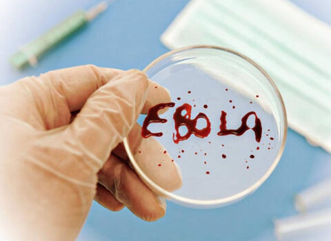 Ebola qurbanlarının sayı 1 354-ə çatdı