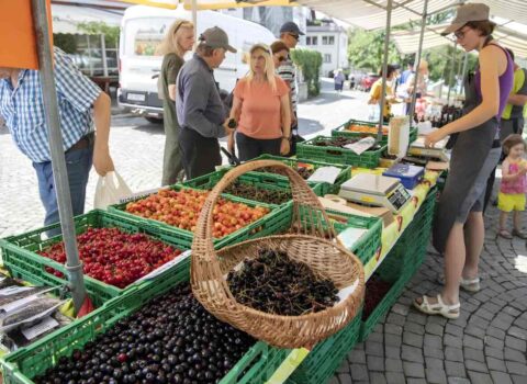 Məşhur yay meyvəsi Avropada 70 manata satılır? – Bahalaşma dalğası bizə də yaxınlaşır