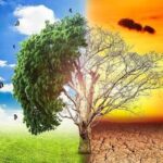 İqlim dəyişiklikləri Azərbaycanda özünü necə göstərir? – Ekspert açıqladı