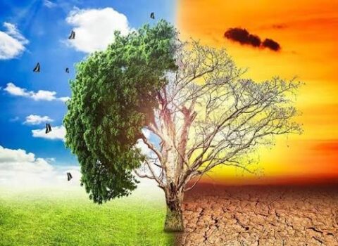 İqlim dəyişiklikləri Azərbaycanda özünü necə göstərir? – Ekspert açıqladı