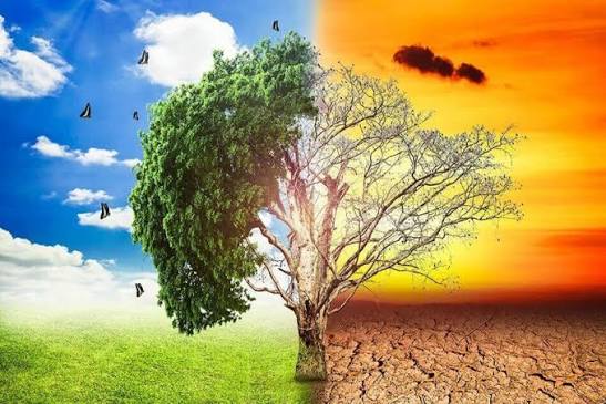İqlim dəyişiklikləri Azərbaycanda özünü necə göstərir? – Ekspert açıqladı