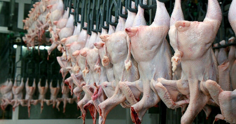 Toyuq əti qiymətləri ilə bağlı yeni proqnoz: Bahalaşma Azərbaycana da çatacaq? Toyuq əti qiymətləri ilə bağlı yeni proqnoz: Bahalaşma Azərbaycana da çatacaq?
